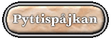 Pyttispjkan