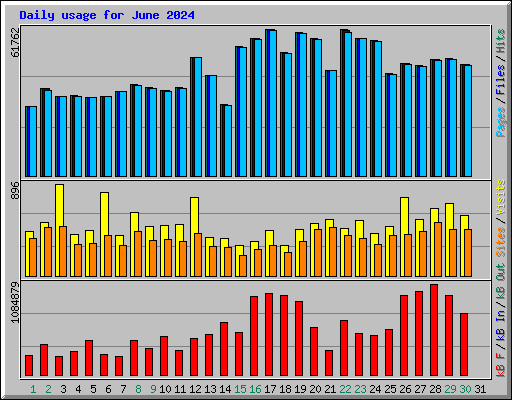 Daily usage for June 2024