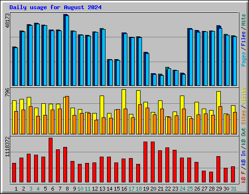 Daily usage for August 2024