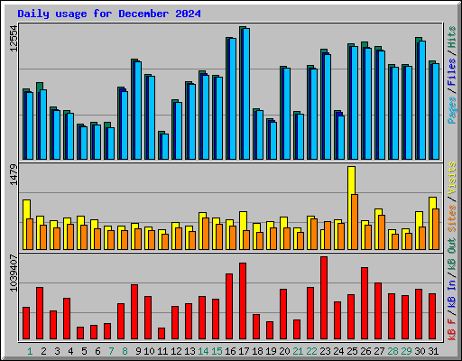Daily usage for December 2024