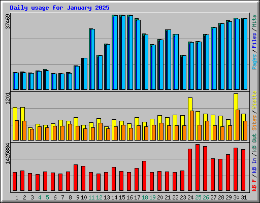 Daily usage for January 2025