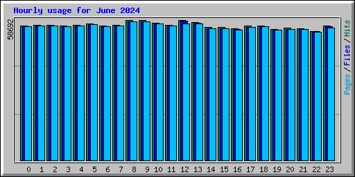 Hourly usage for June 2024