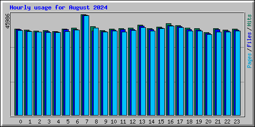Hourly usage for August 2024