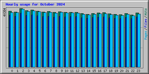 Hourly usage for October 2024
