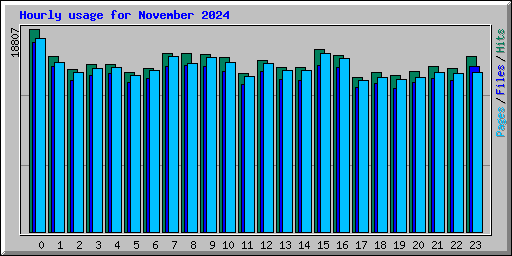 Hourly usage for November 2024