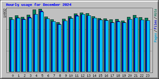 Hourly usage for December 2024