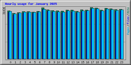 Hourly usage for January 2025