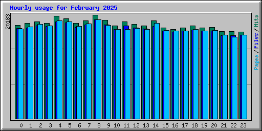 Hourly usage for February 2025